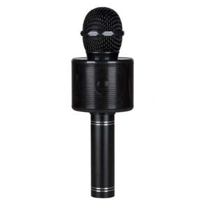 N-GEAR SING MIC S10_01.jpg