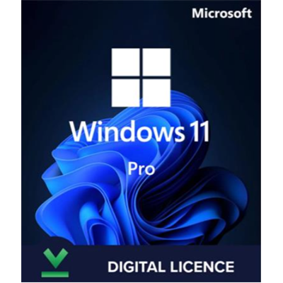 MICROSOFT_Windows_11_Pro_ESD.png